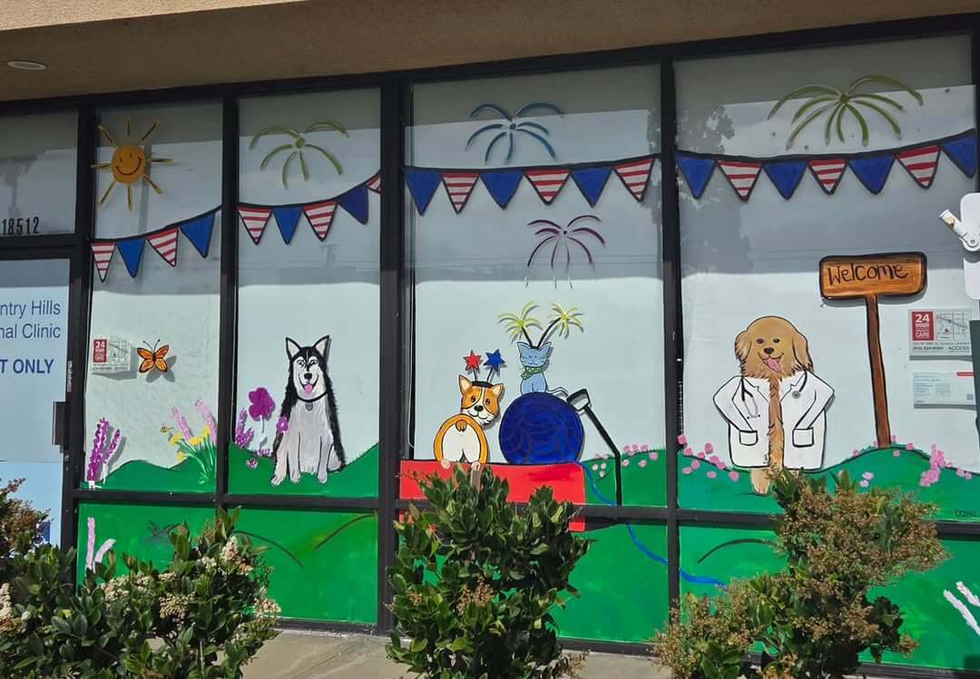 Full Services Practice